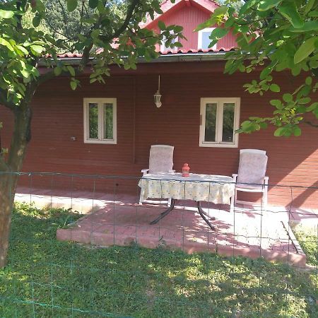 Rustic Country House In Snagov Apartment Luaran gambar