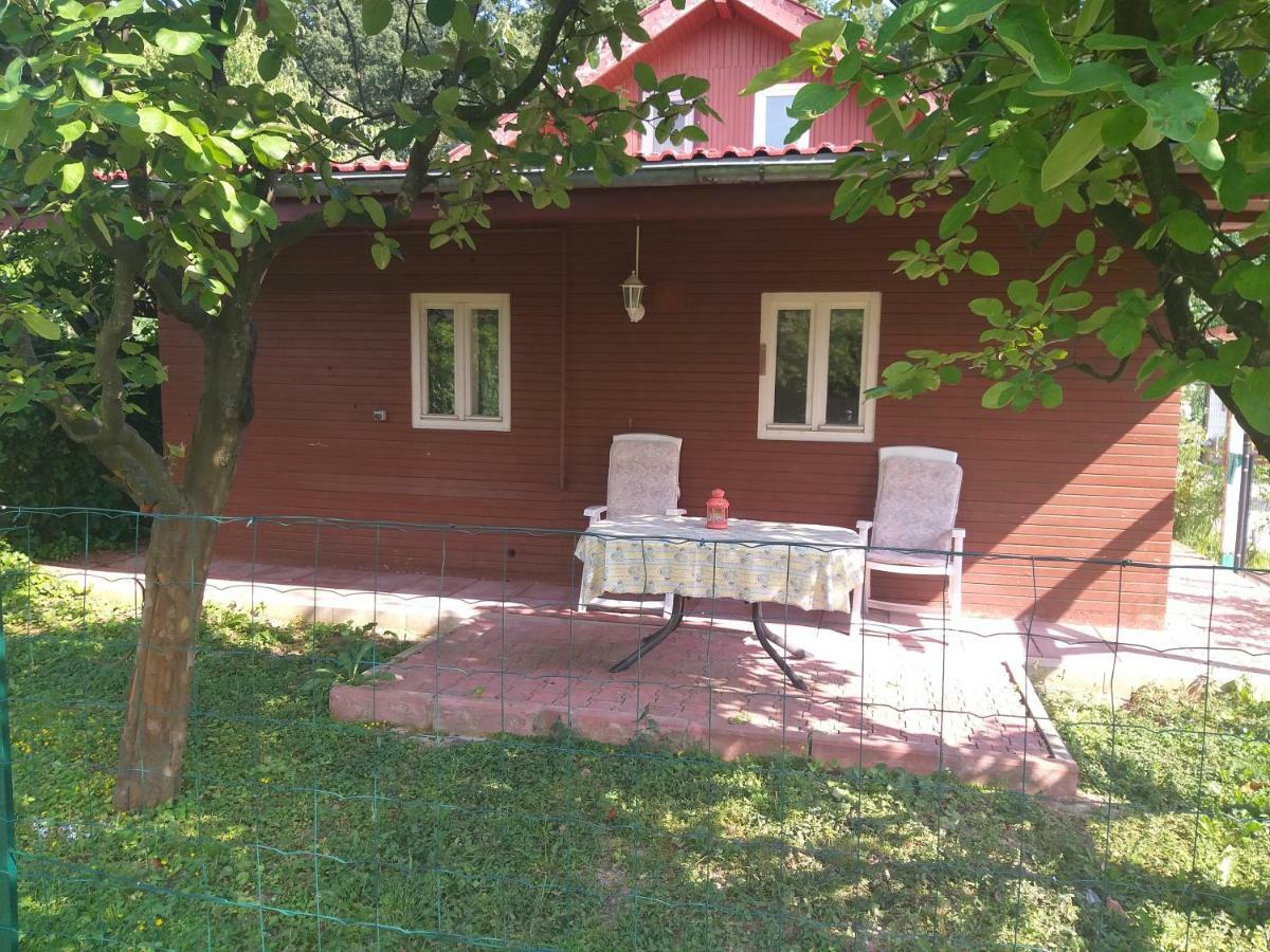 Rustic Country House In Snagov Apartment Luaran gambar
